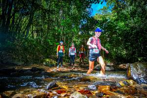 BIB: 
                            <button type="button" onclick="openModal(21765391)" class="btn btn-primary btn-sm float-right btn-popup" data-toggle="modal" data-target=".modal-high-quality">
                        <i class="fas fa-shopping-cart"></i> Add to Cart
                    </button>
                                            <button type="button" onclick="isThisMe(21765391, true)" class="btn btn-success btn-sm float-right btn-popup btn-isme hidden" data-toggle="tooltip" data-placement="bottom" title="นี่คือรูปของคุณใช่ไหม คลิกที่นี่เพื่อเอาเข้าอัลบั้ม">
                        <i class="fas fa-plus"></i> Add to album
                    </button>
                    <button type="button" onclick="isThisMe(21765391, false)" class="btn btn-warning btn-sm float-right btn-popup btn-isnotme hidden">
                        <i class="fas fa-ban"></i> Remove from album
                    </button>